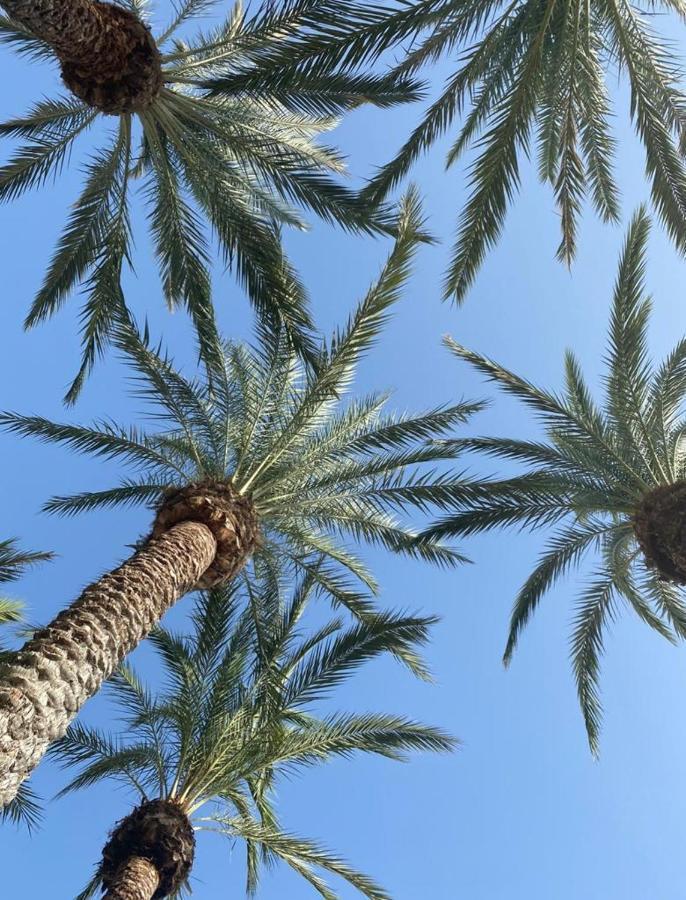 Pension El Dorado Alicante Kültér fotó